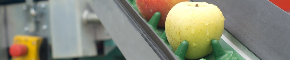 Food Processing Urethane Food Processing