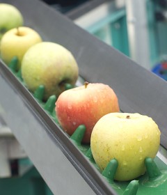 Food Processing